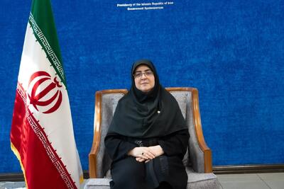 مهاجرانی: آن کسی هم که سطل زباله آتش زد، فرزند ماست