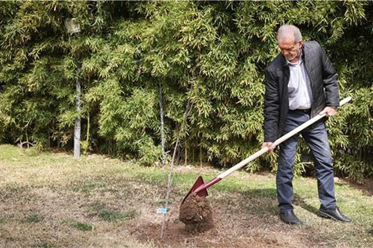 نسخه عجیب پزشکیان برای چمنهای نهاد ریاستجمهوری!