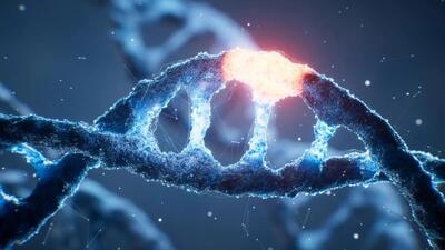 زندگی ۴ حرف DNA است اما دانشمندان به تازگی ۸ حرف آن را ساختهاند!