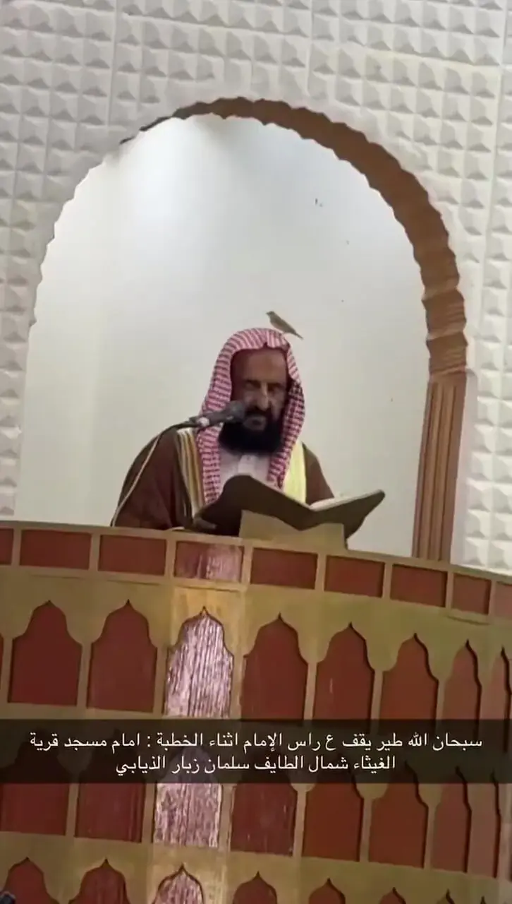 پرنده کوچک روی سر امام جمعه نشست