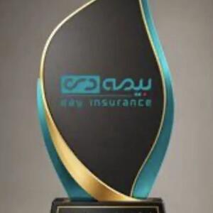  بیمه دی به عنوان بهترین دستگاه اجرایی در ارزیابی عملکرد شناخته شد