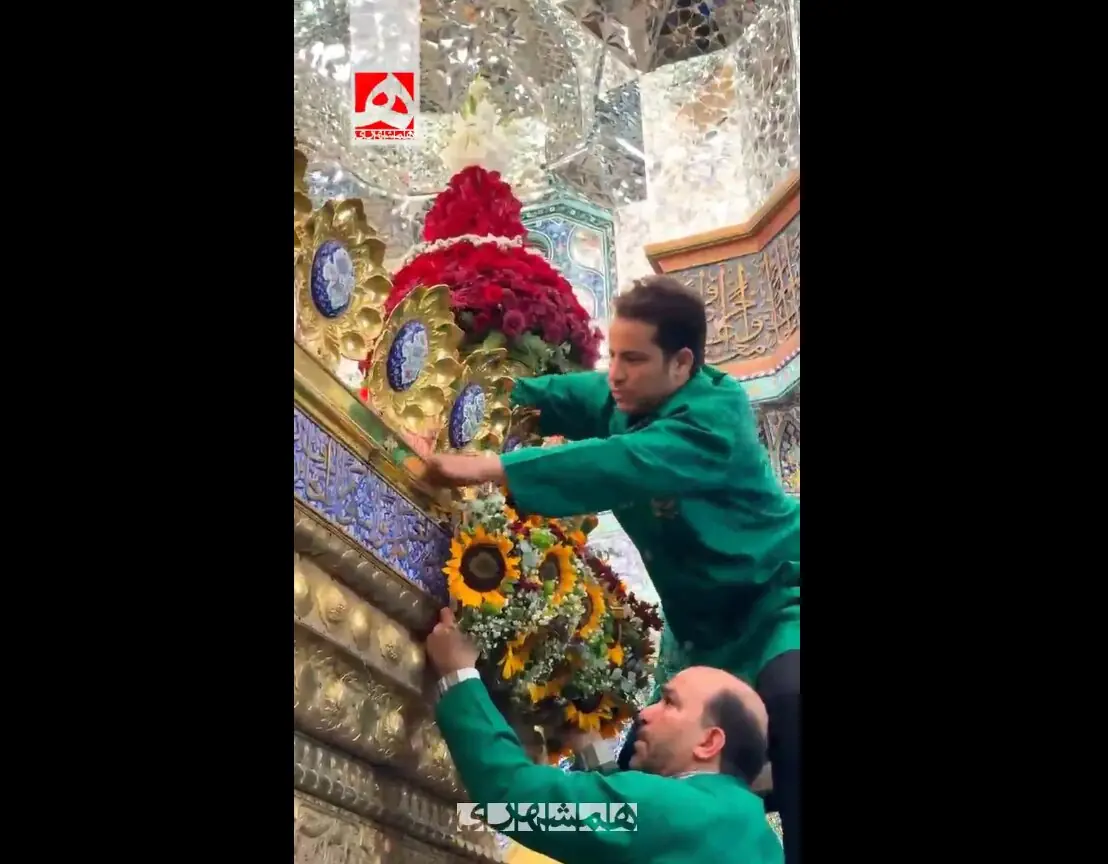 تصاویر دیدنی از گلآرایی ضریح مطهر حضرت معصومه(س) | ویدئو