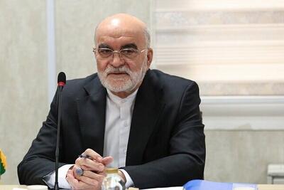 سراج: بریکس میتواند الگوی نوین همکاری حقوقی و قضایی باشد