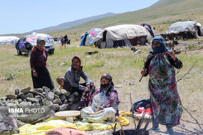  جشنواره کوچ عشایری در طارم برگزار می‌شود