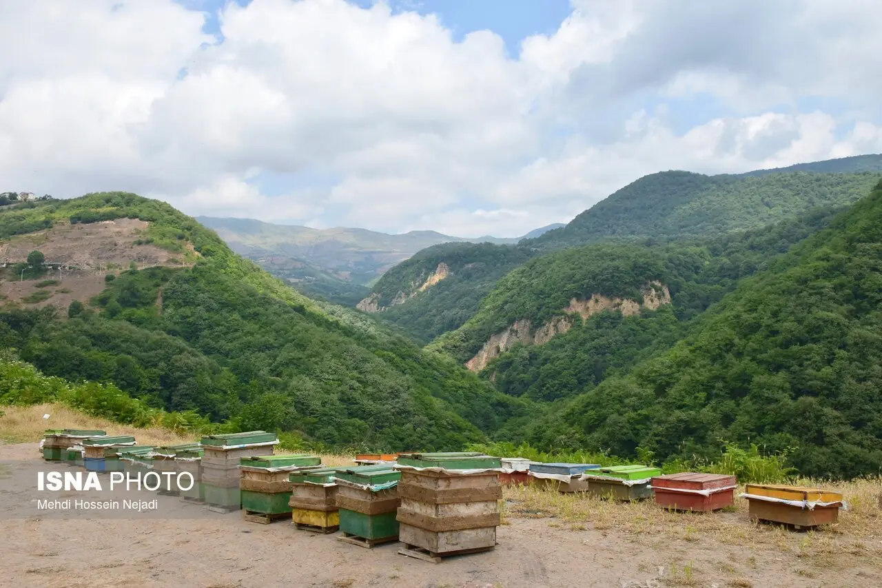 کاهش دما در شمال کشور/ وزش باد شدید در نقاط مختلف ایران