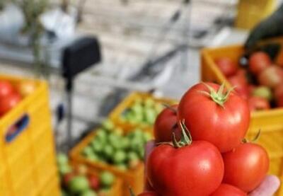  اعمال محدودیت‌های صادراتی برای گوجه‌فرنگی رد شد | نفت ما