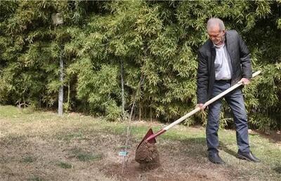 نسخه عجیب پزشکیان برای چمنهای نهاد ریاستجمهوری!