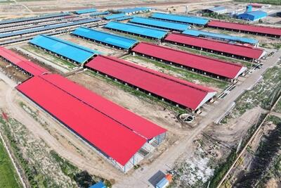 بحران در صنعتِ شرق؛وقتی مسکنهای استانی، حریف دردِ ملی نمیشوند - تسنیم