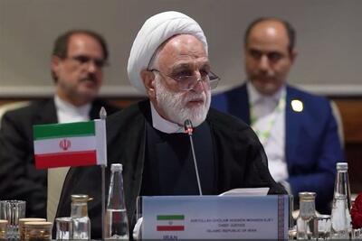 درخواست اژهای از اعضای بریکس: عاملان جنایت علیه ایران را تعقیب کنید - تسنیم