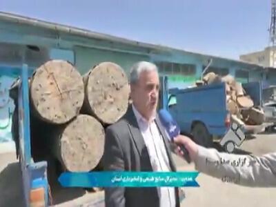 کشف و توقیف محموله چوب قاچاق در اردبیل | آخرین خبر