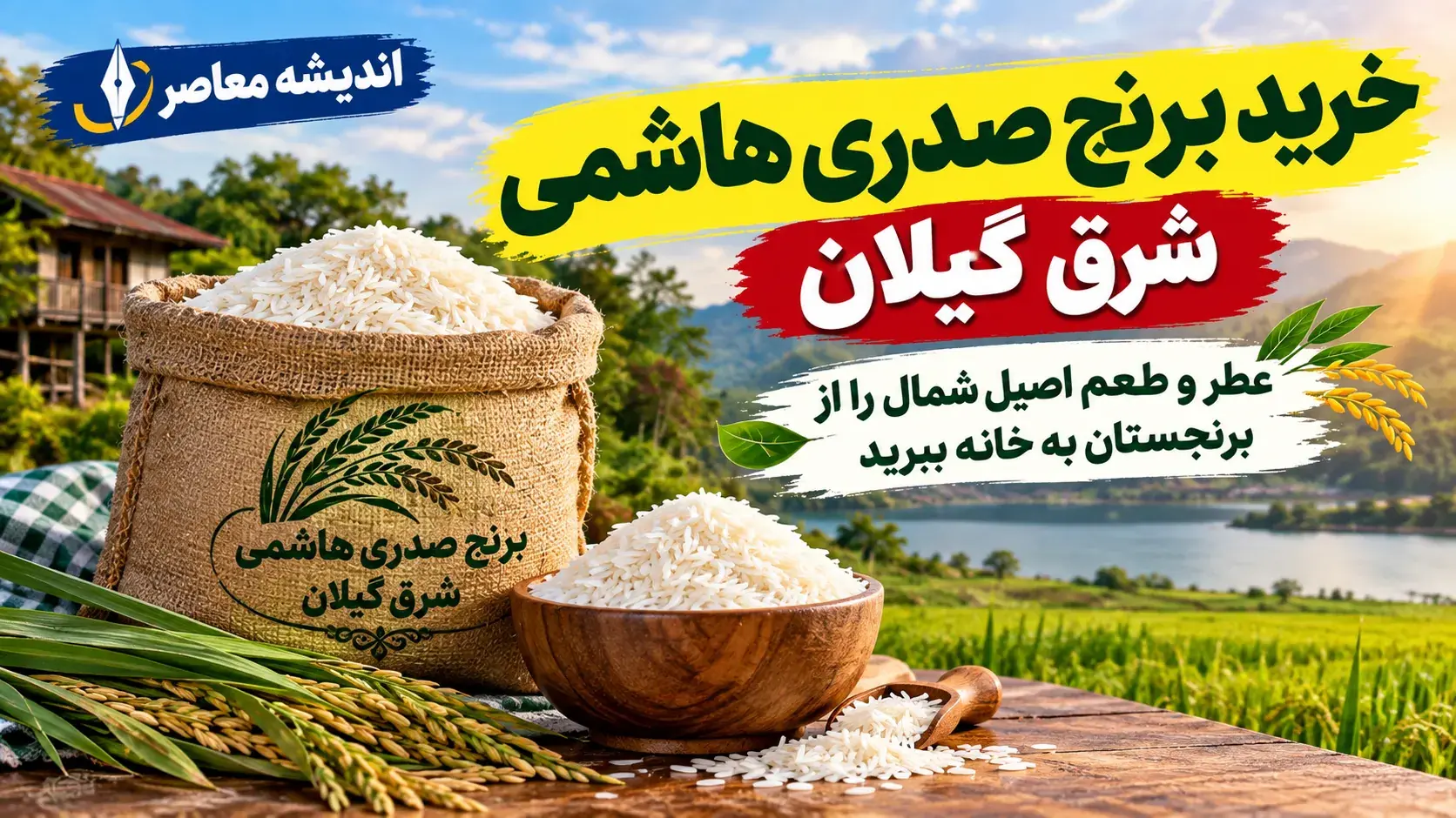 خرید برنج صدری هاشمی شرق گیلان؛ عطر و طعم اصیل شمال را از برنجستان به خانه ببرید