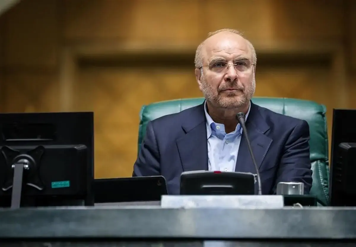  من مدافع طرح نفوذ هستم اما نمی‌شود کشور را قفل کنیم و بگوییم همه از ما اجازه بگیرند
