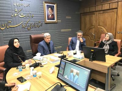 معاون استاندار کردستان بر آموزش خانوادهها درباره پیامدهای سقط جنین تأکید کرد