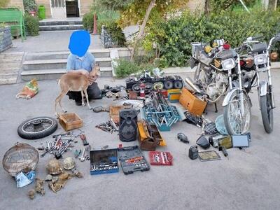  پنج متخلف زیست‌محیطی در مشهد دستگیر شدند