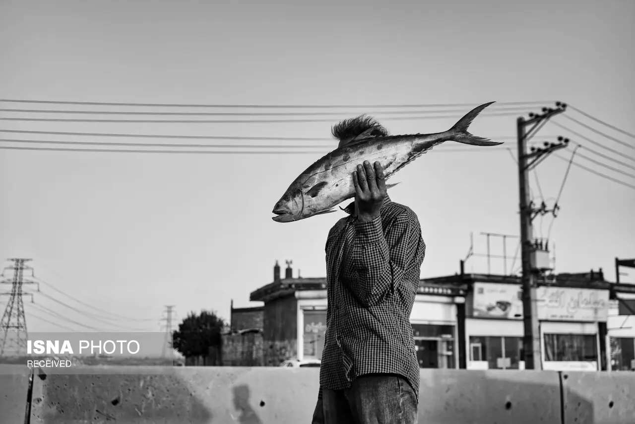 «بیهوا»؛ ثبت لحظههای فراموششده زندگی در خیابان