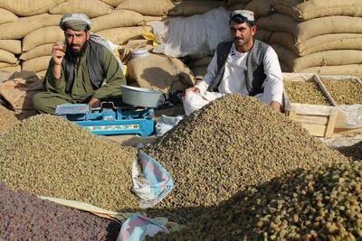  ورود کشمش وارداتی از افغانستان به چرخه فرآوری و بسته‌بندی محصولات بومی ممنوع