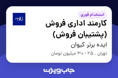  استخدام کارمند اداری فروش (پشتیبان فروش) - خانم در ایده برتر کیوان