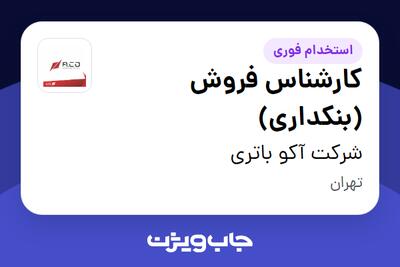 استخدام کارشناس فروش (بنکداری) - آقا در شرکت آکو باتری