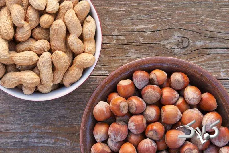 فندق یا بادامزمینی؛ کدامیک بیشتر کلسترول را پایین میآورد؟ - مجله اینترنتی کولاک