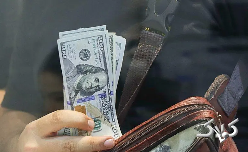 تغییر صاحب ارز مسافری بعد از ثبت گمرک ممنوع شد - مجله اینترنتی کولاک