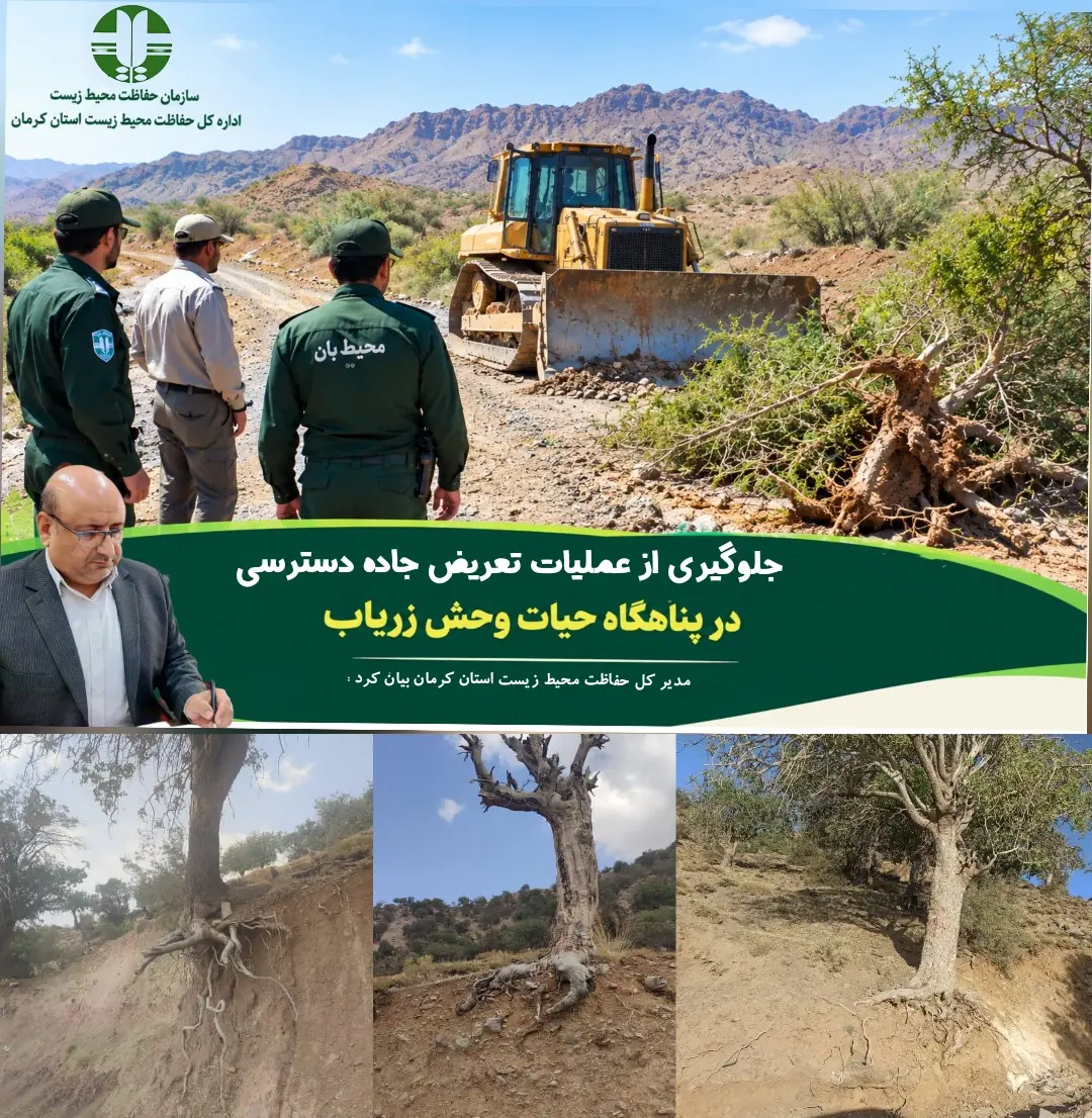 توقف جادهسازی در زریاب