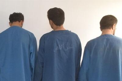  دستگیری سارقان حرفه‌ای و کشف 19 فقره سرقت در بوشهر - تسنیم