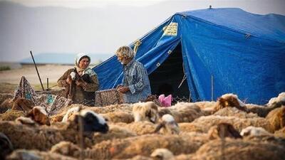 توزیع ۶۰ هزار تن نهاده دامی در مسیر حمایت از معیشت عشایر لرستان