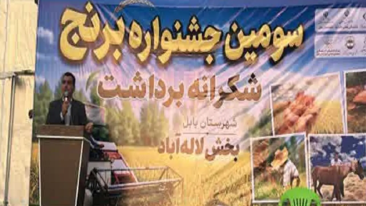  برگزاری سومین جشنواره برداشت برنج در شهرستان بابل