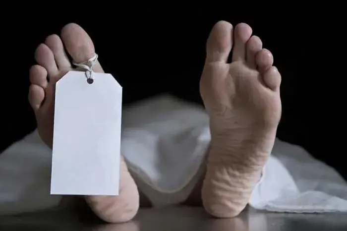 قتل راننده در حال آموزش سالمند به دست مرد عصبانی | آخرین خبر