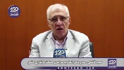 ۹۵ درصد گرانی مرغ وگوشت و خسارت بزرگ تولیدکنندگان در کشور فقط به دلیل حذف ارز ترجیحی است و دلیل دیگری ندارد