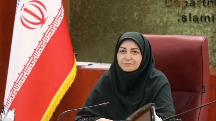 گزارش ضرورت مینروبی مناطق مرزی به دولت ارائه میشود