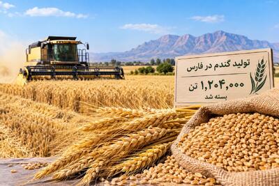 پرونده خرید گندم در فارس با تولید یک میلیون و ۲۰۴ هزار تن بسته شد