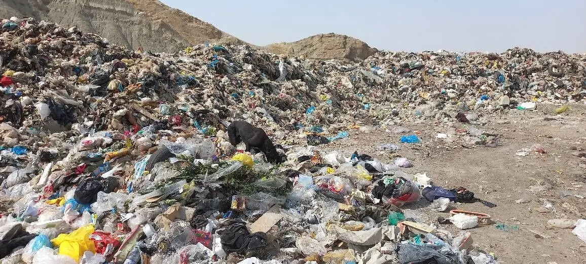 تأکید بر ورود بخش خصوصی و تدوین راهکارهای ملی برای حل چالش پسماند