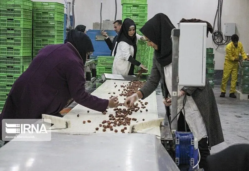 ایجاد ۵۵۰۰ فرصت شغلی توسط ۱۵۶ تعاونی در استان کرمان