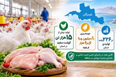 جوجهریزی ۸.۹ میلیون قطعهای در هرمزگان؛ تولید به ۱۵ هزار تن رسید