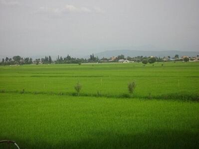بخشدار: کسب عنوان «روستای سبز» برای پایینمیرکلا در بابل/اجرای طرح هادی به 70 درصد رسید