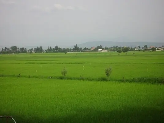  بخشدار: کسب عنوان «روستای سبز» برای پایین‌میرکلا در بابل/اجرای طرح هادی به 70 درصد رسید