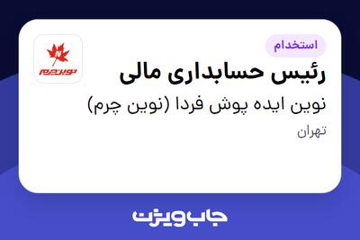 استخدام رئیس حسابداری مالی در نوین ایده پوش فردا (نوین چرم)