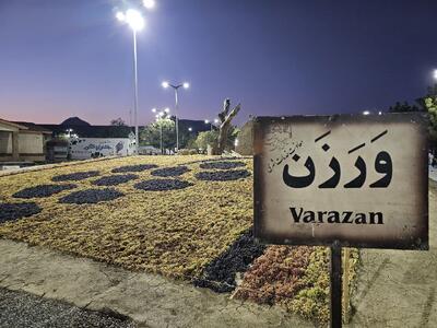  اعلام آمادگی ۱۹ کشور خارجی برای حضور در نهمین دوره جشنواره انگور ارومیه