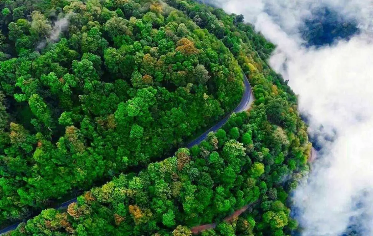  بودجه و قوانین حفاظت منابع