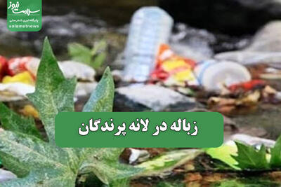 زباله در لانه پرندگان