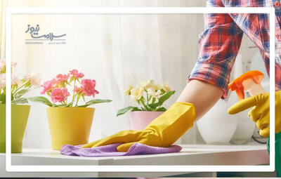  آیا پاک‌کننده‌های معطر باعث آلودگی هوای خانه می‌شوند