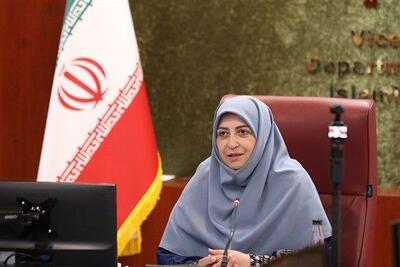 رئیس سازمان محیط زیست: گزارش ضرورت مینروبی مناطق مرزی به دولت ارائه میشود