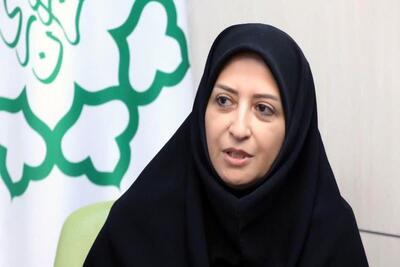 انصاری: بهرهگیری از ظرفیت دانشگاهها برای مدیریت علمی آلودگی هوا ضروری است