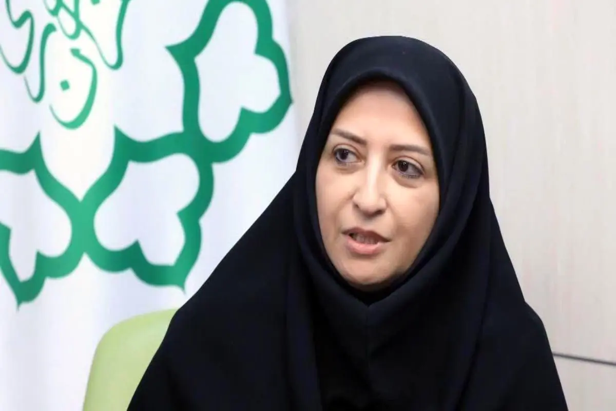 انصاری: بهرهگیری از ظرفیت دانشگاهها برای مدیریت علمی آلودگی هوا ضروری است