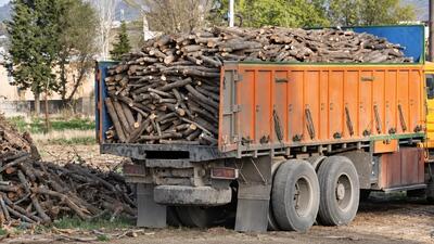 محکومیت ۴ متخلف قاچاق چوب در نمین به حبس و تبعید