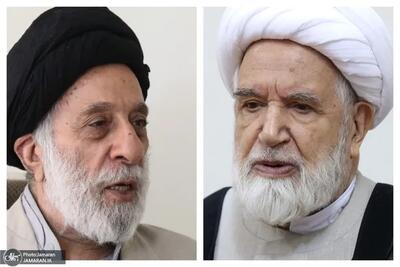  سیدهادی خامنه‌ای: امیدواریم حصر میرحسین رفع شود