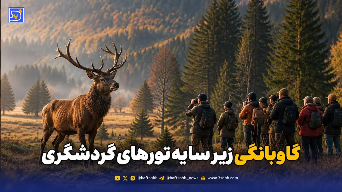 تورهای گاوبانگی؛ تهدیدی برای آرامش مرالها