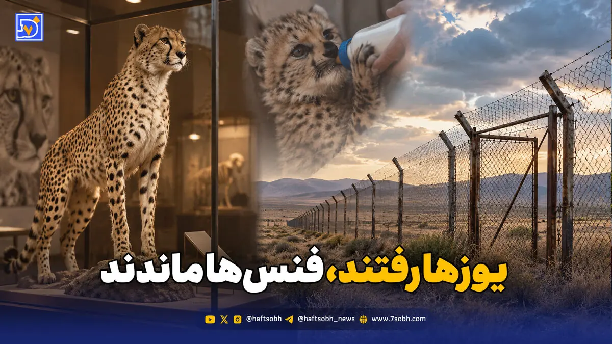 یوزها رفتند، فنسها ماندند