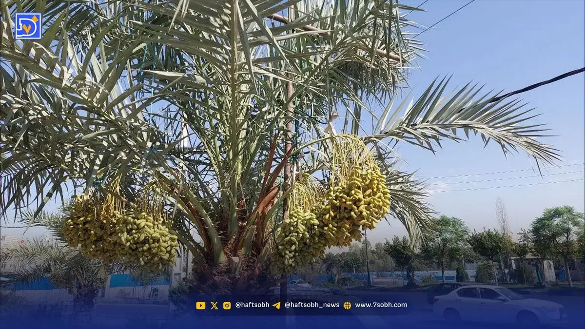 تهران میزبان گیاهان اقلیمهای متفاوت